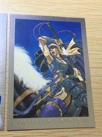 菊池通隆 MICHITAKA KIKUCHI ILLUST COLLECTION Gemini カード まとめ イラストコレクション アニス ファーム 氷室美久 オリジナル 2枚 SP3 SP2 バンダイ カードダスマスターズ サムネイル 8