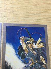菊池通隆 MICHITAKA KIKUCHI ILLUST COLLECTION Gemini カード まとめ イラストコレクション アニス ファーム 氷室美久 オリジナル 2枚 SP3 SP2 バンダイ カードダスマスターズ サムネイル 9