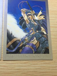 菊池通隆 MICHITAKA KIKUCHI ILLUST COLLECTION Gemini カード まとめ イラストコレクション アニス ファーム 氷室美久 オリジナル 2枚 SP3 SP2 バンダイ カードダスマスターズ サムネイル 10