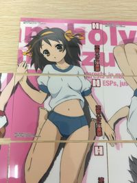 涼宮ハルヒの憂鬱 カード まとめ ハイグレード コレクション 涼宮ハルヒ 長門有希 8枚 H04 H05 H06 H07 H08 H09 ブロッコリー ハイグレードカードコレクション サムネイル 5