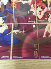 涼宮ハルヒの憂鬱 パズル カード まとめ バニーver. 長門有希 涼宮ハルヒ 朝比奈みくる 鶴屋さん 朝比奈みくる 9枚 48 47 46 50 49 51 52 53 54 ブロッコリー ハイグレードカードコレクション サムネイル 8