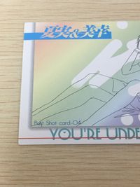 逮捕しちゃうぞ 逮捕しちゃうぞ ベストショット カード カード 夏実 美幸 トレカ Best Shot card-04 アマダ アニメ サムネイル 7