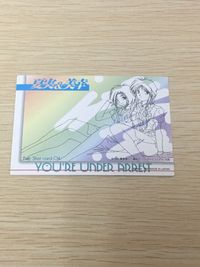 逮捕しちゃうぞ 逮捕しちゃうぞ ベストショット カード カード 夏実 美幸 トレカ Best Shot card-04 アマダ アニメ サムネイル 5