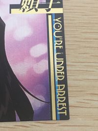 逮捕しちゃうぞ 逮捕しちゃうぞ ベストショット カード カード 頼子 トレカ Best Shot card-03 AMADA アニメ サムネイル 3