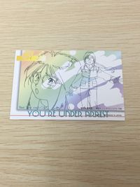 逮捕しちゃうぞ 逮捕しちゃうぞ ベストショット カード カード 頼子 トレカ Best Shot card-03 AMADA アニメ サムネイル 6