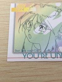 逮捕しちゃうぞ 逮捕しちゃうぞ ベストショット カード カード 頼子 トレカ Best Shot card-03 AMADA アニメ サムネイル 8