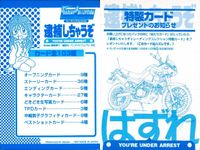 逮捕しちゃうぞ トレーディングコレクション 逮捕しちゃうぞ ”はずれ” カード まとめ はずれ カード裏面 3枚 アマダ トレーディング サムネイル 2
