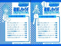 逮捕しちゃうぞ トレーディングコレクション 逮捕しちゃうぞ ”はずれ” カード まとめ チェックリスト インサート 特製カード プレゼントのお知らせ 2枚 アマダ トレーディング