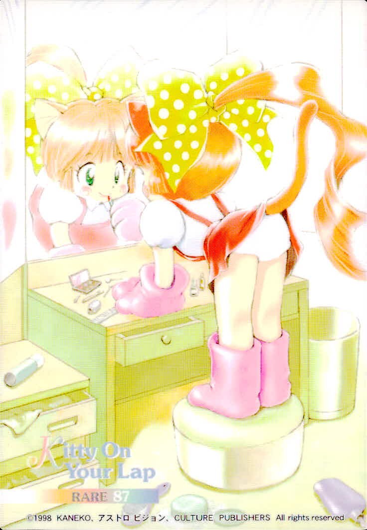 ひざの上の同居人 Kitty on Your Lap ひざの上の同居人 KITTY ON YOUR LAP レア カード みーこ トレカ 87 RARE アストロビジョン コレクション