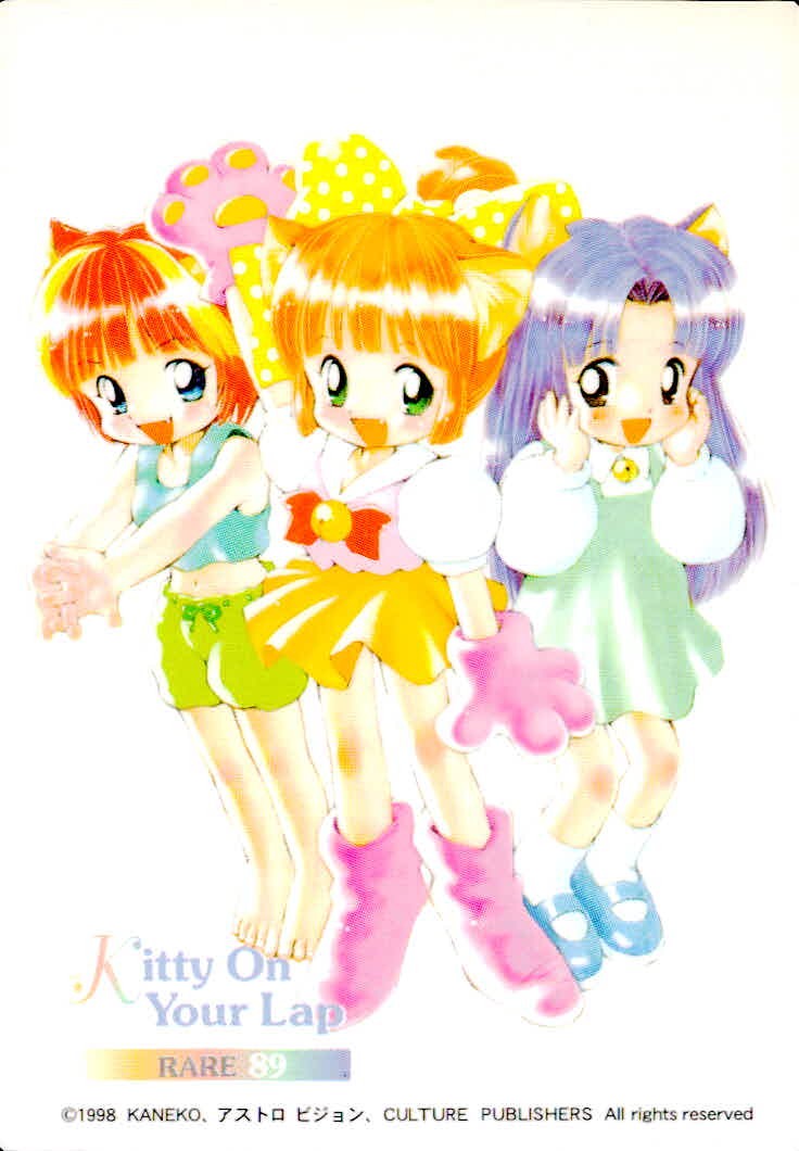ひざの上の同居人 Kitty on Your Lap ひざの上の同居人 KITTY ON YOUR LAP レア カード 3人組 トレカ 89 RARE CULTURE PUBLISHERS コレクション