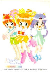 ひざの上の同居人 Kitty on Your Lap ひざの上の同居人 KITTY ON YOUR LAP レア カード 3人組 トレカ 89 RARE CULTURE PUBLISHERS コレクション