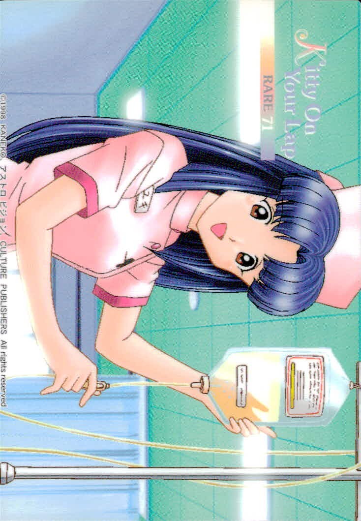 ひざの上の同居人 Kitty on Your Lap ひざの上の同居人 KITTY ON YOUR LAP レア カード トレカ RARE 71 RARE CULTURE PUBLISHERS トレーディング