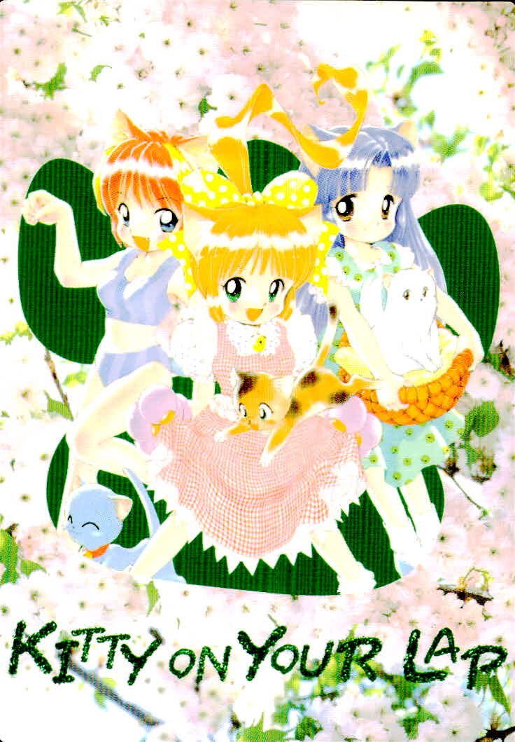ひざの上の同居人 KITTY ON YOUR LAP カード ミミ レナ ユキ トレカ コレクション