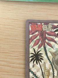 幽遊白書 幽☆遊☆白書 カード まとめ 人物データ バンプレカード Ally(味方) シール風 幽遊白書スーパーバトルカード 妖 コエンマ 蔵馬 飛影 桑原和真 雪菜 妖狐蔵馬 4枚 5 16 56 森永製菓 バンプレスト サムネイル 13