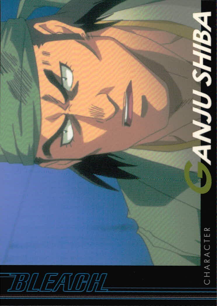 BLEACH カード 志波岩鷲 トレカ 096 バンダイ カードダスマスターズ