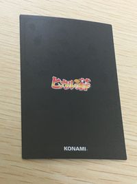 ヒカルの碁 カード 塔矢行洋 トレカ B2-03 コナミ TCG サムネイル 9