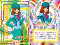 キューティーハニーF キューティーハニー カード バンダイ カード まとめ スクープハニー ナースハニー エレガンスハニー エスコートハニー ハリケーンハニー 9枚 7 8 9 10 11 12 13 14 15 バンダイ 食玩 サムネイル 9