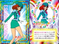キューティーハニーF キューティーハニー カード バンダイ カード まとめ スクープハニー ナースハニー エレガンスハニー エスコートハニー ハリケーンハニー 9枚 7 8 9 10 11 12 13 14 15 バンダイ 食玩 サムネイル 10