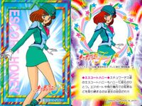 キューティーハニーF キューティーハニー カード バンダイ カード まとめ キャラクター スクープハニー ナースハニー エレガンスハニー エスコートハニー ハリケーンハニー 9枚 7 8 9 10 11 12 13 14 15 サムネイル 10