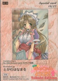 Piaキャロ2 Piaキャロットへようこそ!! 2 Tribute Edition カード 木ノ下留美 トレカ SP.18 Special card ブロッコリー トレーディング サムネイル 2