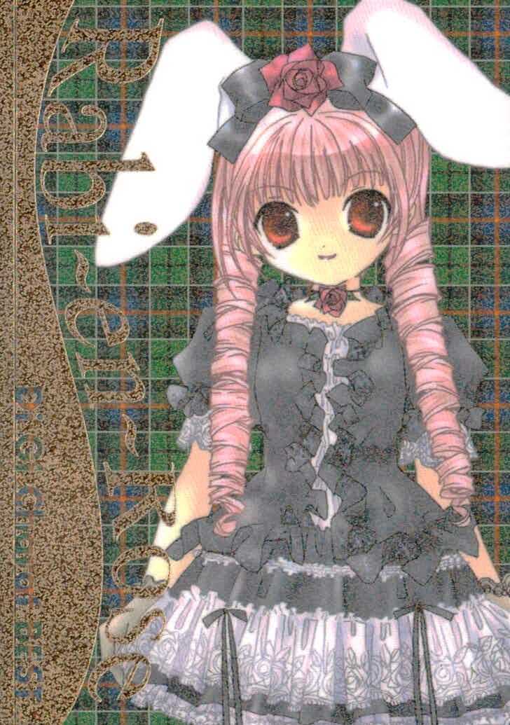デジキャラット Di Gi Charat オリジナルベストトレーディングカードコレクション カード Rabbit Rose トレカ R03 R ブロッコリー トレーディング