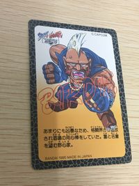ストZERO ストリートファイターZERO ストリートファイター ゼロ カード カード バーディー トレカ 032 バンダイ カードダス サムネイル 4