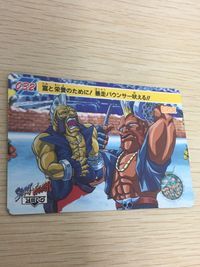 ストZERO ストリートファイターZERO ストリートファイター ゼロ カード カード バーディー トレカ 032 バンダイ カードダス サムネイル 2