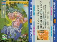 ストZERO ストリートファイターZERO ストリートファイター ゼロ カード カード まとめ ジャガーリボルバー ブルリベンジャー テンチュウサツ ソニックブレイク アドン ザ バーディー ソドム ナッシュ 4枚 019 020 サムネイル 5