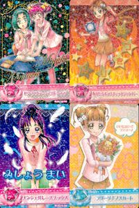 フレッシュプリキュア！ データカードダス プリキュア データカードダス オールスターズ カード まとめ ドレスカード トップス ドレスカード ボトムス ピンクファーベストシャツ あかいるポップチェックジャンパー 4枚 バンダイ サムネイル 1