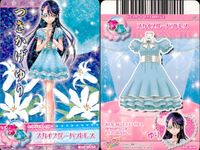 ドキドキ！ プリキュア プリキュア データカードダス オールスターズ カード まとめ ドレスカード トップス ボトムス ドレスカード シューズ スカイブルーバフドレス グレードットタイツ キウイパンプス キラキラまこびーブーツ サムネイル 2