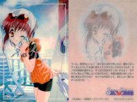 シスプリ シスタープリンセス カード まとめ プライベートタイム 可憐 鞠絵 雛 3枚 Private Time 03 Private Time 04 メディアワークス トレーディング サムネイル 2