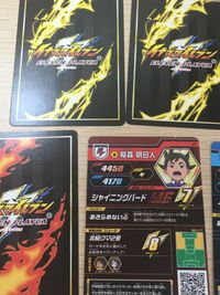 イナズマイレブン ELEVEN PLAYCA カード まとめ キャラクター 必殺技 稲森 明日人 灰崎 凌兵 鬼道 有人 稲森 明日人 円堂 守 吹雪 アツヤ 剛陣 鉄之助 不動 明王 10枚 EP-P-001 EP-P-024 サムネイル 7