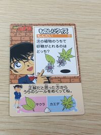名探偵コナン 名探偵コナン シール カード ものしりクイズ カード 江戸川コナン ものしりクイズ もんだい17 トレカ 食玩 シール サムネイル 3
