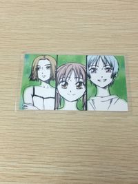 Kareshi Kanojo no Jijyo MOVIC Kareshi Kanojo no Jijou card Japan Movic laminated