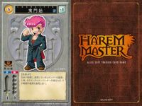 ハーレムマスター HAREM MASTER ALICE SOFT TRADING CARD GAME カード まとめ キャラクター イベント アイテム 岳画殺 鬼門始 駆け落ち 式堂刹那 式堂甲斐那 ピンヒール 柳秋光 9枚 サムネイル 4