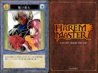ハーレムマスター HAREM MASTER ALICE SOFT TRADING CARD GAME カード まとめ キャラクター イベント アイテム 岳画殺 鬼門始 駆け落ち 式堂刹那 式堂甲斐那 ピンヒール 柳秋光 9枚 サムネイル 5