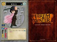ハーレムマスター HAREM MASTER ALICE SOFT TRADING CARD GAME カード まとめ キャラクター イベント アイテム 岳画殺 鬼門始 駆け落ち 式堂刹那 式堂甲斐那 ピンヒール 柳秋光 9枚 サムネイル 9