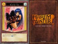 ハーレムマスター HAREM MASTER ALICE SOFT TRADING CARD GAME カード まとめ キャラクター イベント アイテム 岳画殺 鬼門始 駆け落ち 式堂刹那 式堂甲斐那 ピンヒール 柳秋光 9枚 サムネイル 8