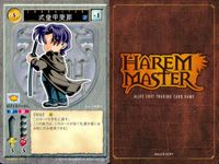 ハーレムマスター HAREM MASTER ALICE SOFT TRADING CARD GAME カード まとめ キャラクター イベント アイテム 鴉葉月 鬼門始 式堂甲斐那 ハニ消し リゼル いかせ男ズ 9枚 アリスソフト サムネイル 6