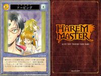 ハーレムマスター HAREM MASTER ALICE SOFT TRADING CARD GAME カード まとめ イベント キャラクター アイテム ドーピング 岳画殺 ピンヒール 由女 いかせ男ズ 9枚 111 455 130 サムネイル 5