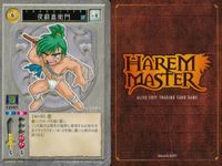 ハーレムマスター HAREM MASTER ALICE SOFT TRADING CARD GAME カード まとめ キャラクター イベント アイテム 式皇刹那 夜蘇真衛門 岳画殺 駆け落ち 由女 シャルム 師匠 9枚 084 サムネイル 5