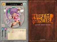 ハーレムマスター HAREM MASTER ALICE SOFT TRADING CARD GAME カード まとめ キャラクター アイテム レイヌ 由女 師匠 リゼル 柳秋光 リセット カラー シャルム 9枚 189 476 サムネイル 10