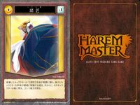 ハーレムマスター HAREM MASTER ALICE SOFT TRADING CARD GAME カード まとめ キャラクター アイテム レイヌ 由女 師匠 リゼル 柳秋光 リセット カラー シャルム 9枚 189 476 サムネイル 6