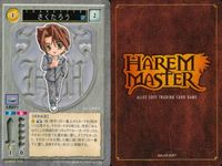 ハーレムマスター HAREM MASTER ALICE SOFT TRADING CARD GAME カード まとめ キャラクター 竜胆沙耶 さくたろう 高坂雪之 ロニィ スタインハート 9枚 087 328 240 354 サムネイル 4