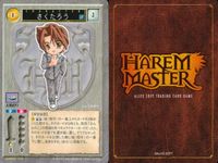 ハーレムマスター HAREM MASTER ALICE SOFT TRADING CARD GAME カード まとめ キャラクター 竜胆沙耶 さくたろう 高坂雪之 ロニィ スタインハート 9枚 087 328 240 354 サムネイル 9