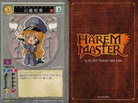ハーレムマスター HAREM MASTER ALICE SOFT TRADING CARD GAME カード まとめ キャラクター 平賀ひなこ 川嶋和奈 シャリエラ アリエス 9枚 302 495 485 アリスソフト TCG サムネイル 5