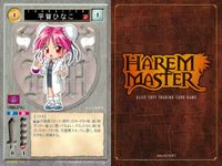 ハーレムマスター HAREM MASTER ALICE SOFT TRADING CARD GAME カード まとめ キャラクター 平賀ひなこ 川嶋和奈 シャリエラ アリエス 9枚 302 495 485 アリスソフト TCG サムネイル 3