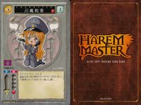 ハーレムマスター HAREM MASTER ALICE SOFT TRADING CARD GAME カード まとめ キャラクター 平賀ひなこ 川嶋和奈 シャリエラ アリエス 9枚 302 495 485 アリスソフト TCG サムネイル 4