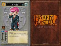 ハーレムマスター HAREM MASTER ALICE SOFT TRADING CARD GAME カード まとめ キャラクター 鬼門始 9枚 460 アリスソフト TCG サムネイル 10