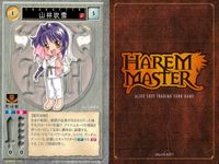 ハーレムマスター HAREM MASTER ALICE SOFT TRADING CARD GAME カード まとめ キャラクター アミラン バーコフ メディウサ 山林吹雪 9枚 450 496 463 アリスソフト TCG サムネイル 10